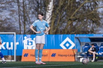 Bild 275 - F Hamburger SV 3 - Blau-Weiss 96 : Ergebnis: 5:1